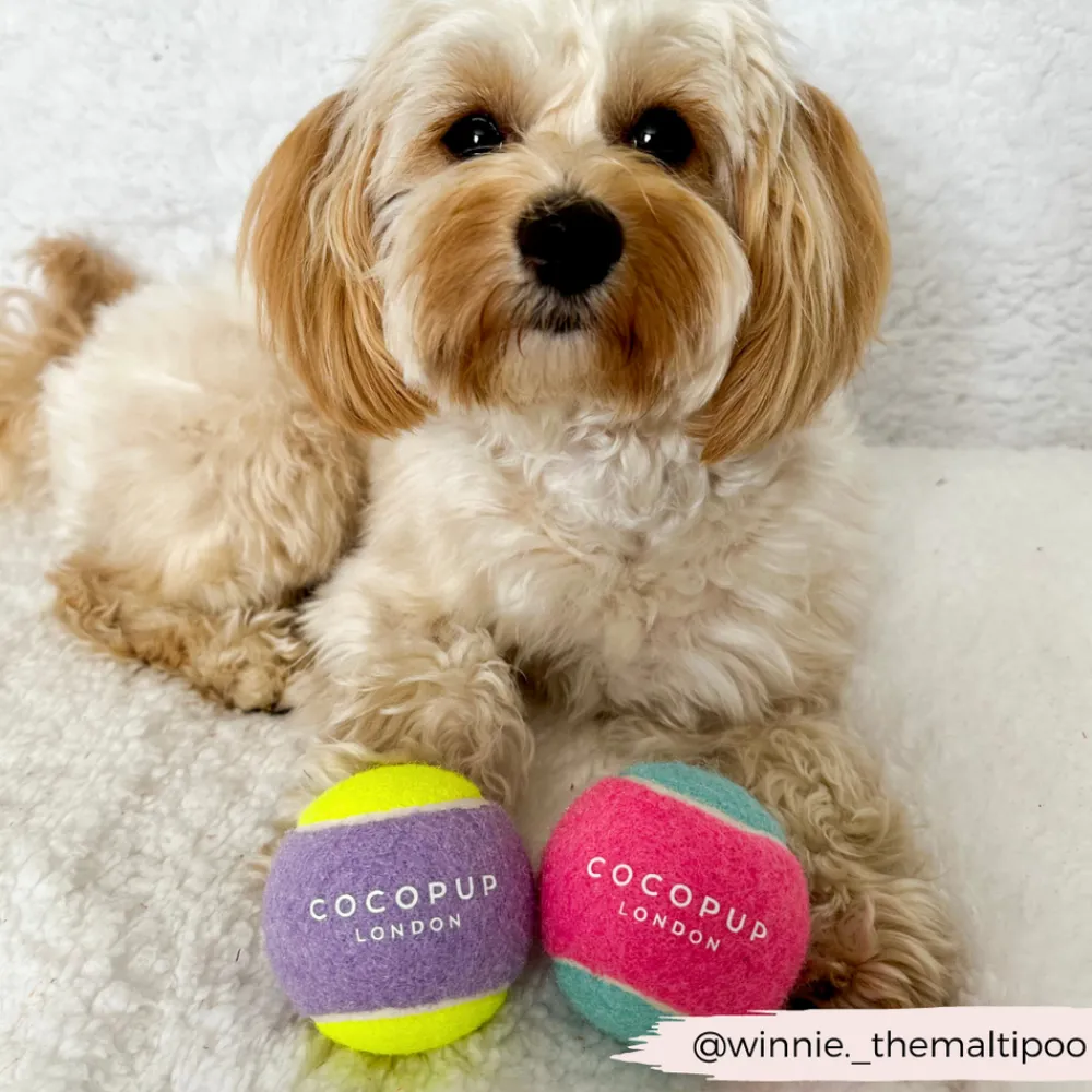 Cocopup Rucksack Accessories | Tennis Balls-Tennis Ball - Lilac & Yellow