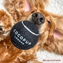 Cocopup Rucksack Accessories | Tennis Balls-Tennis Ball - Midnight Black