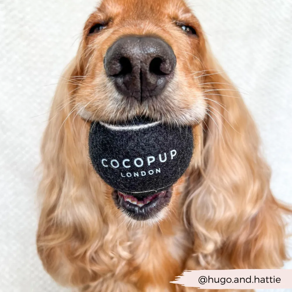 Cocopup Rucksack Accessories | Tennis Balls-Tennis Ball - Midnight Black
