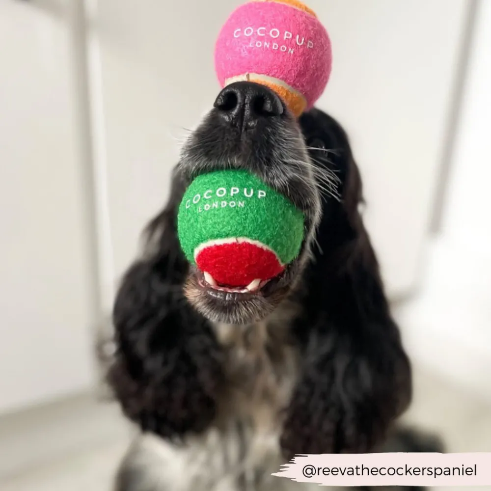 Cocopup Rucksack Accessories | Tennis Balls-Tennis Ball - Pink & Orange