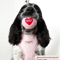 Cocopup Tennis Balls | Tennis Balls ðū-Tennis Ball - Pink & Red Heart