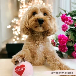 Cocopup Tennis Balls | Tennis Balls ðū-Tennis Ball - Pink & Red Heart