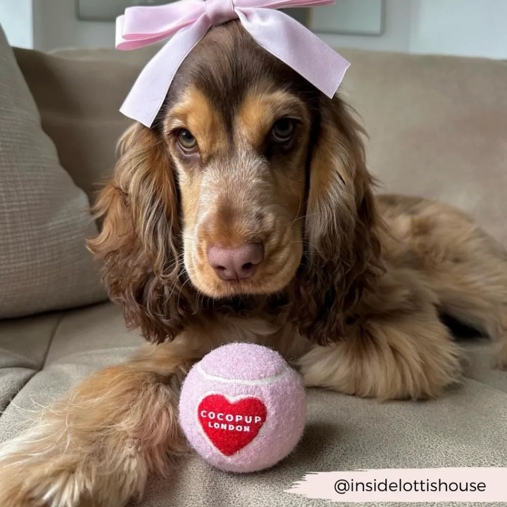 Cocopup Tennis Balls | Tennis Balls ðū-Tennis Ball - Pink & Red Heart