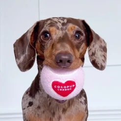 Cocopup Tennis Balls | Tennis Balls ðū-Tennis Ball - Pink & Red Heart