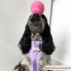 Cocopup Rucksack Accessories | Tennis Balls-Tennis Ball - Playful Pink