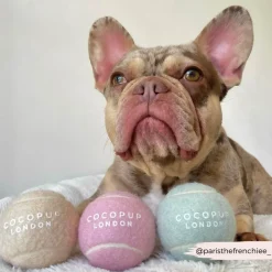 Cocopup Tennis Balls | Tennis Balls 🎾-Tennis Ball BUNDLE - Salted Caramel, Pistachio, Strawberry