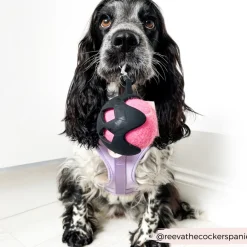 Cocopup Tennis Ball Holders | Tennis Balls-Tennis Ball Holder - Black