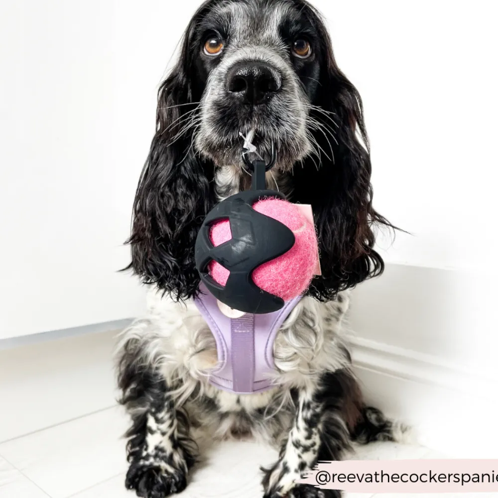 Cocopup Tennis Ball Holders | Tennis Balls-Tennis Ball Holder - Black