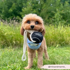 Cocopup Rope Toys | Tennis Balls-Tennis Ball Rope Toy - Midnight Black