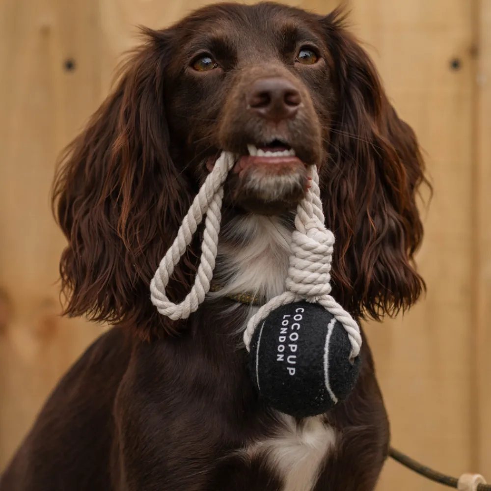 Cocopup Rope Toys | Tennis Balls-Tennis Ball Rope Toy - Midnight Black