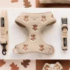Cocopup Adjustable Harness Bundles-Theo Embroidered Teddy Adjustable Neck Harness, Lead & Collar Bundle