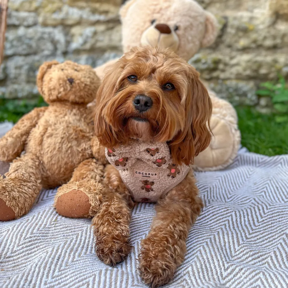 Cocopup Adjustable Neck Harnesses-Theo Embroidered Teddy Adjustable Neck HARNESS