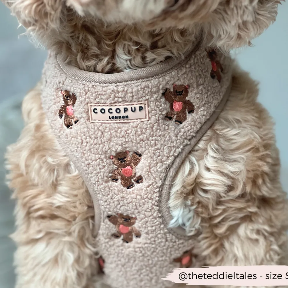 Cocopup Adjustable Neck Harnesses-Theo Embroidered Teddy Adjustable Neck HARNESS