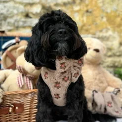 Cocopup Adjustable Harness Bundles-Theo Embroidered Teddy Adjustable Neck Harness, Lead & Collar Bundle