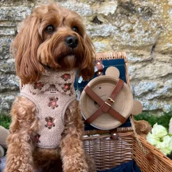Cocopup Adjustable Neck Harnesses-Theo Embroidered Teddy Adjustable Neck HARNESS