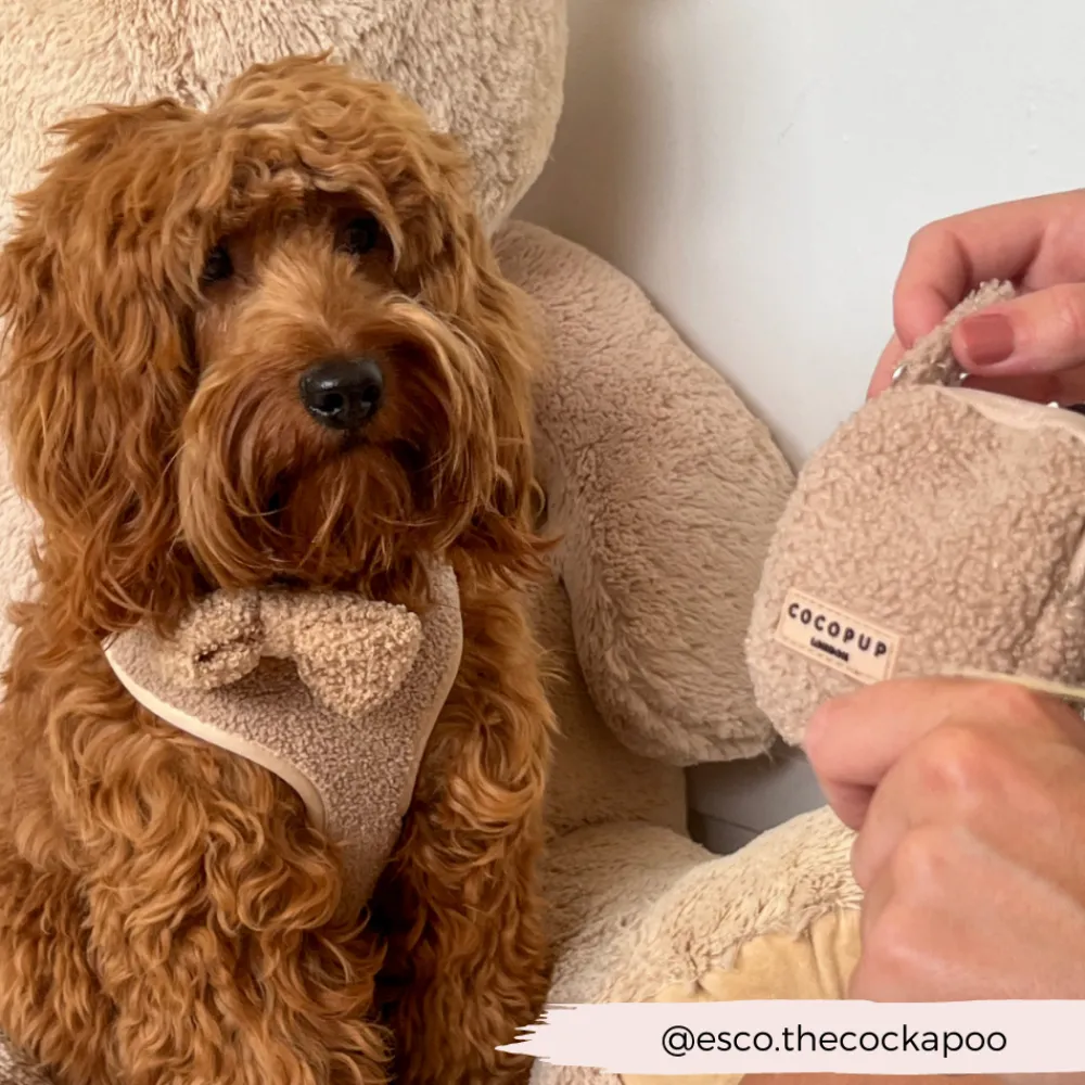 Cocopup Treat Pouches | Rucksack Accessories-Treat Pouch - Teddy Rupert